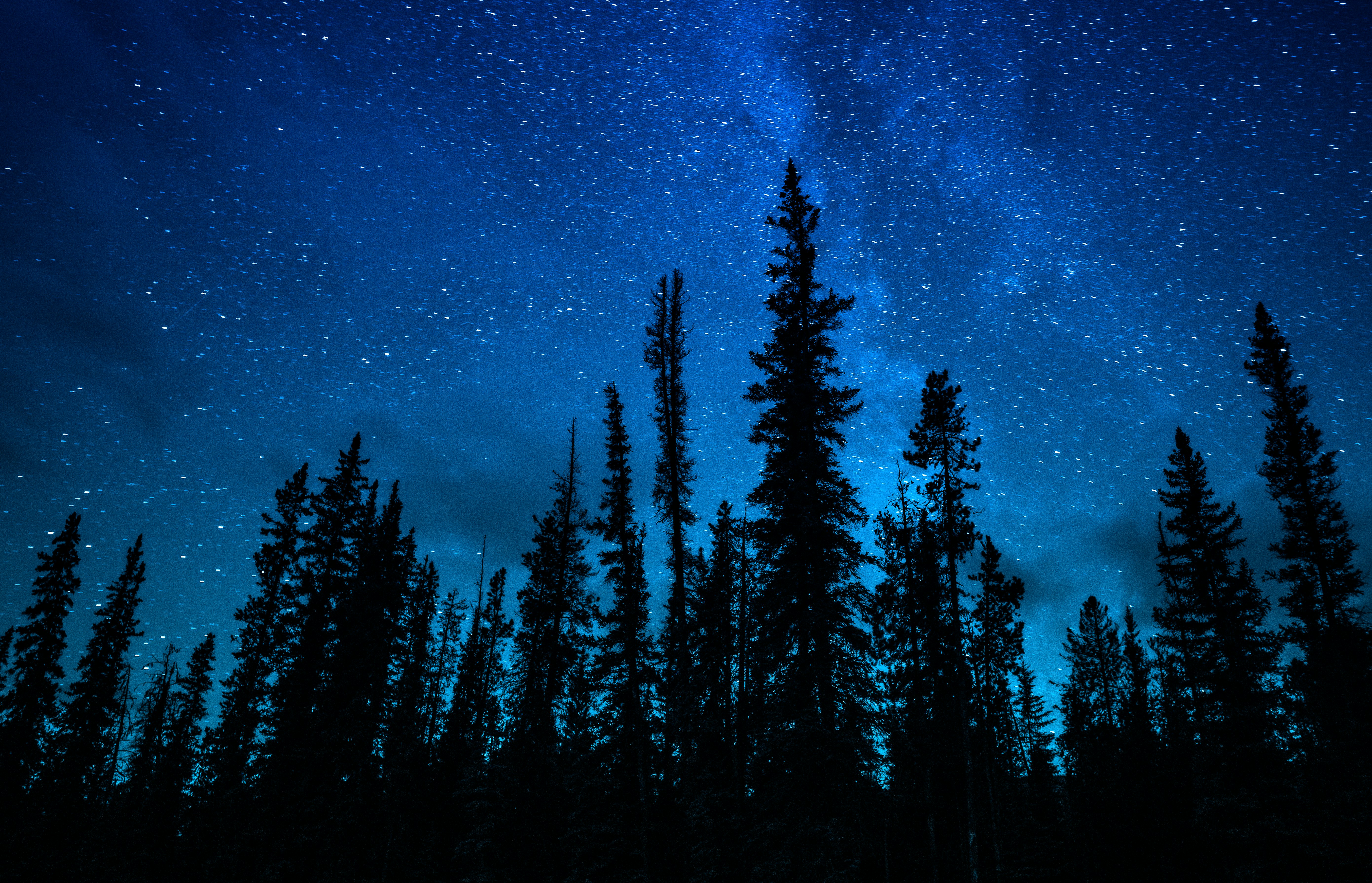 green trees under blue sky during night time